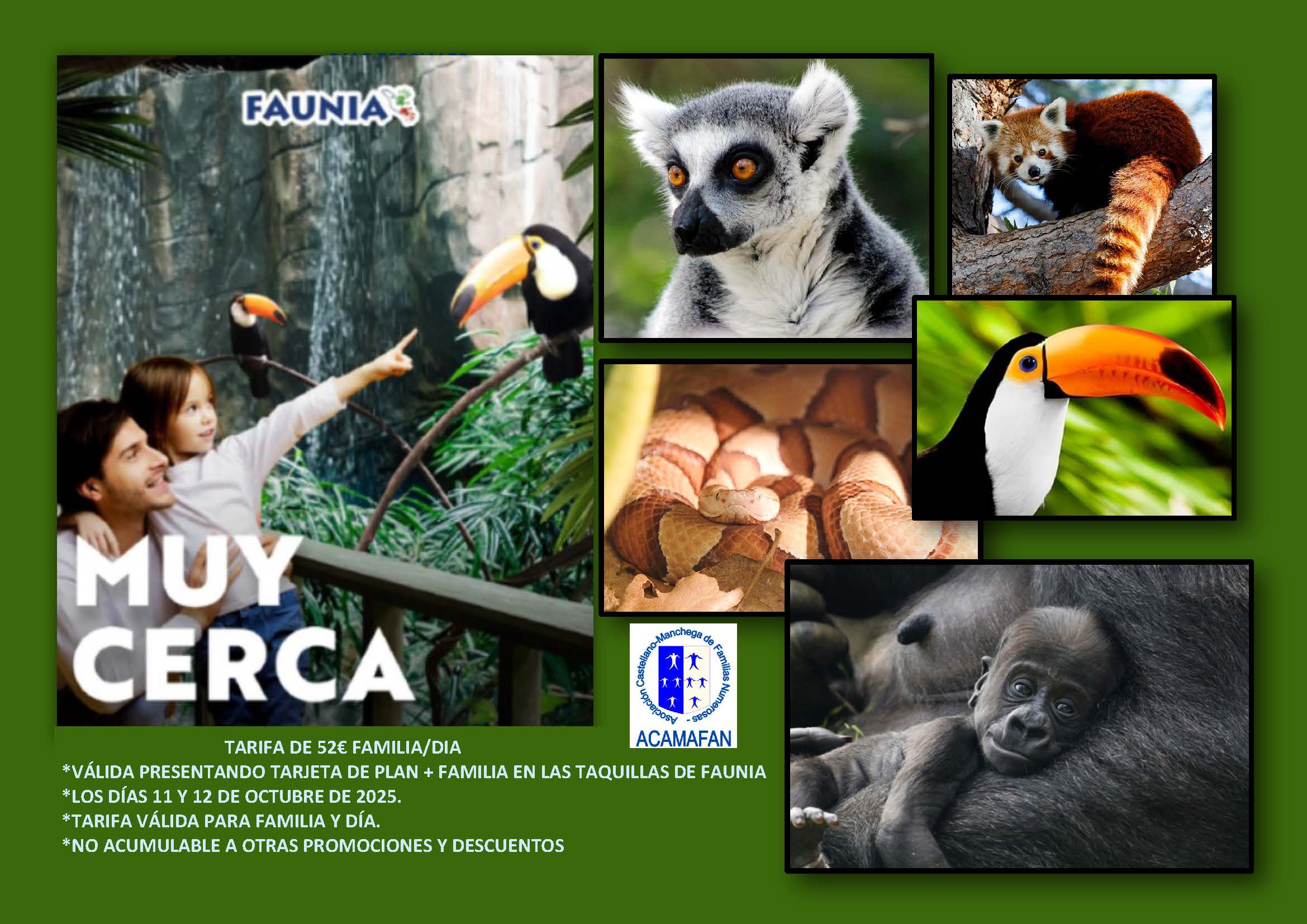Jornadas familiares en Faunia